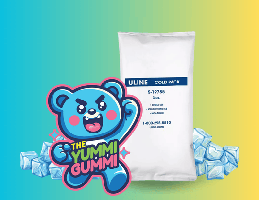 Reusable Ice Pak for shipping